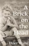 A Brick on the Head cover