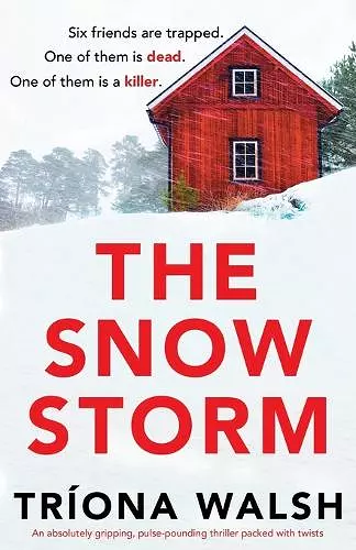 The Snowstorm cover