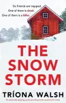 The Snowstorm cover