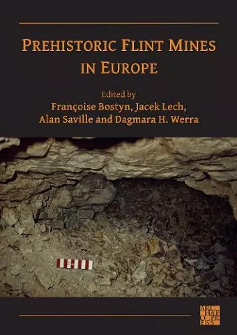 Prehistoric Flint Mines in Europe cover