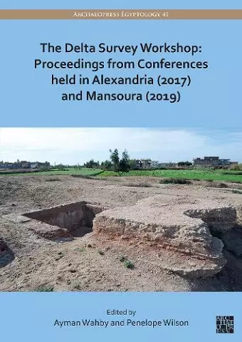 The Delta Survey Workshop: Proceedings from Conferences held in Alexandria (2017) and Mansoura (2019) cover