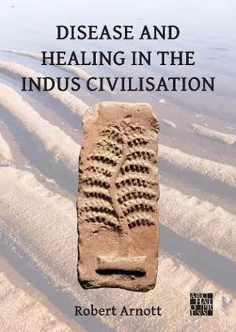 Disease and Healing in the Indus Civilisation cover