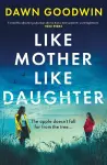 Like Mother, Like Daughter cover