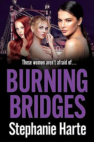 Burning Bridges cover