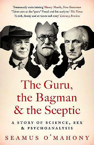The Guru, the Bagman and the Sceptic cover
