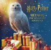 Harry Potter: Hedwig Pop-up Advent Calendar cover