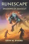 RuneScape: Shadows of Amascut cover