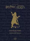 Harry Potter: The Characters of the Wizarding World cover