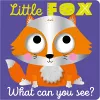 Little Fox What Can You See? cover