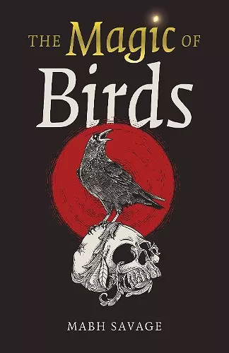 Magic of Birds, The cover