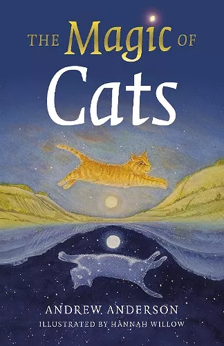 Magic of Cats, The cover