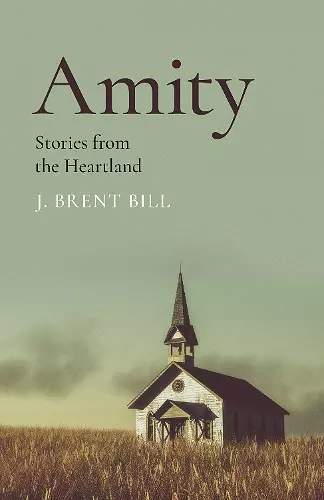 Amity cover