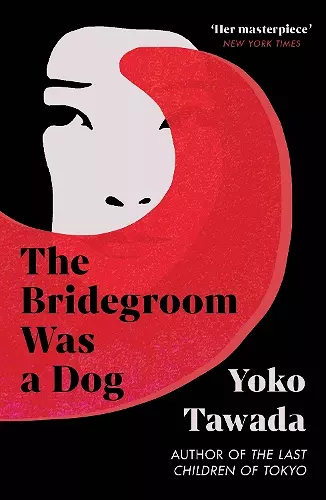 The Bridegroom Was a Dog cover