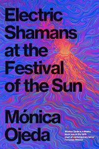 Electric Shamans at the Festival of the Sun cover
