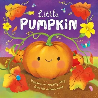 Little Pumpkin cover