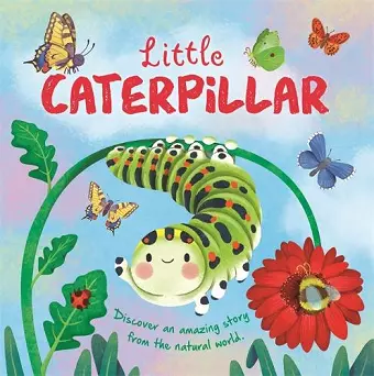 Little Caterpillar cover