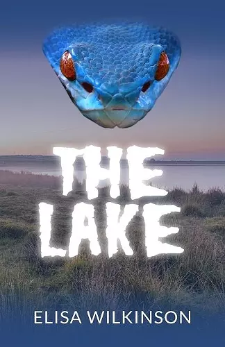 The Lake cover