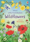 Little First Stickers Wildflowers cover