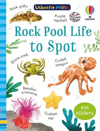 Rock Pool Life to Spot cover