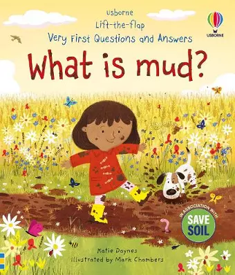 Very First Questions and Answers: What is mud? cover