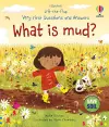Very First Questions and Answers: What is mud? cover