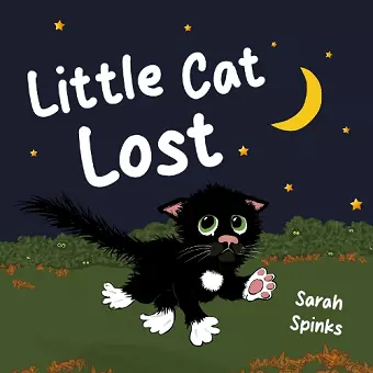 Little Cat Lost cover