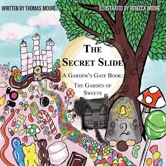 The Secret Slide cover