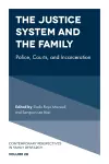 The Justice System and the Family cover