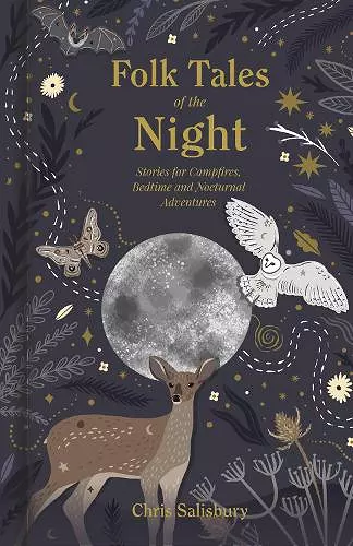 Folk Tales of the Night cover