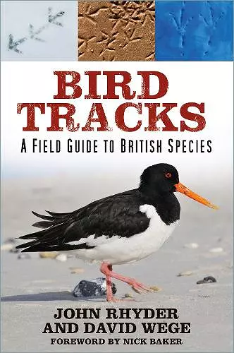 Bird Tracks cover