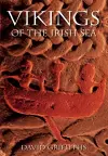 Vikings of the Irish Sea cover