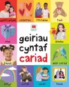 Geiriau Cyntaf Cariad cover