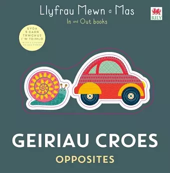 Geiriau Croes / Opposites cover