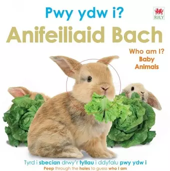 Pwy Ydw i? Anifeiliaid Bach / Who Am I? Baby Animals cover