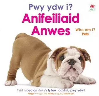 Pwy ydw i? Anifeiliaid Anwes / Who Am I? Pets cover