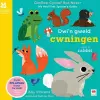 Dwi'n Gweld Cwningen / I Spot a Rabbit cover