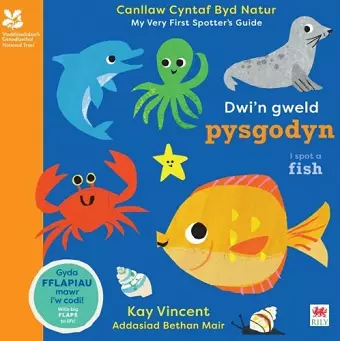 Dwi'n Gweld Pysgodyn / I Spot a Fish cover