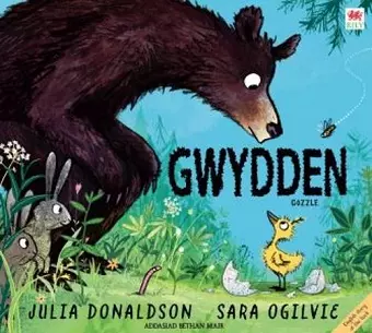 Gwyddno / Gozzle cover