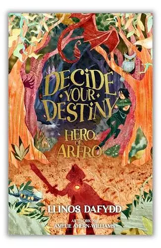 Decide your Destiny - Hero of Arfro cover