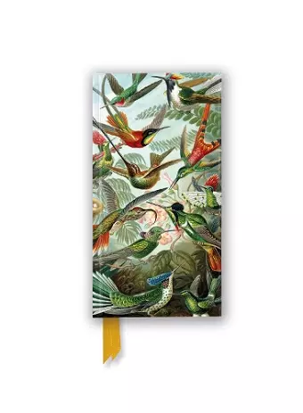 Ernst Haeckel: Hummingbirds (Foiled Slimline Journal) cover
