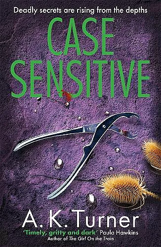Case Sensitive cover