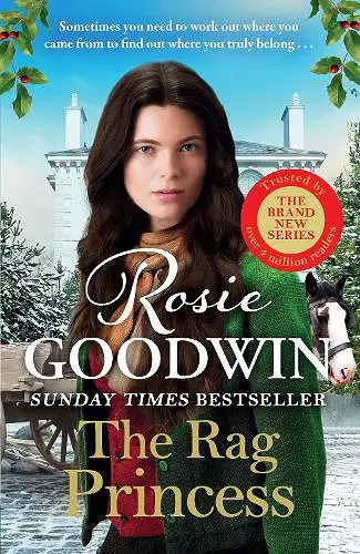 The Rag Princess cover