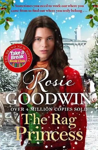 The Rag Princess cover