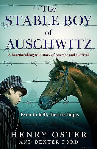 The Stable Boy of Auschwitz cover