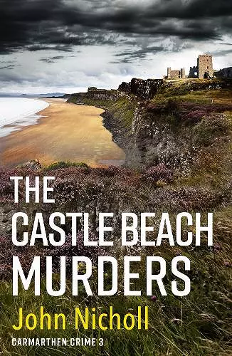 The Castle Beach Murders cover