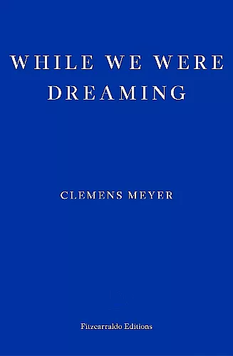 While We Were Dreaming cover