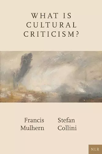 What Is Cultural Criticism? cover