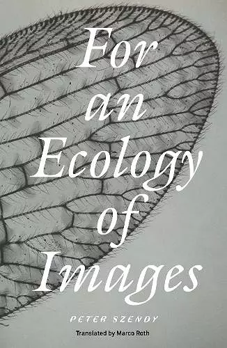 For an Ecology of Images cover