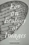 For an Ecology of Images cover