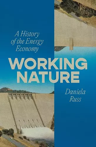Working Nature cover